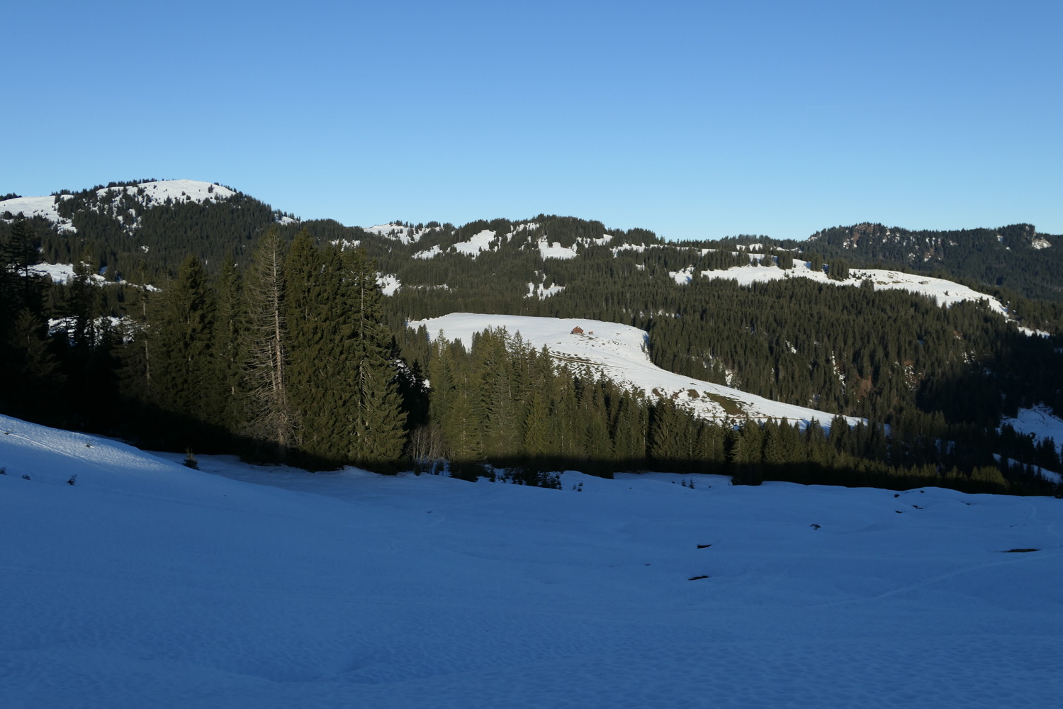 p1010959.jpg
