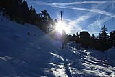 p1010963.jpg