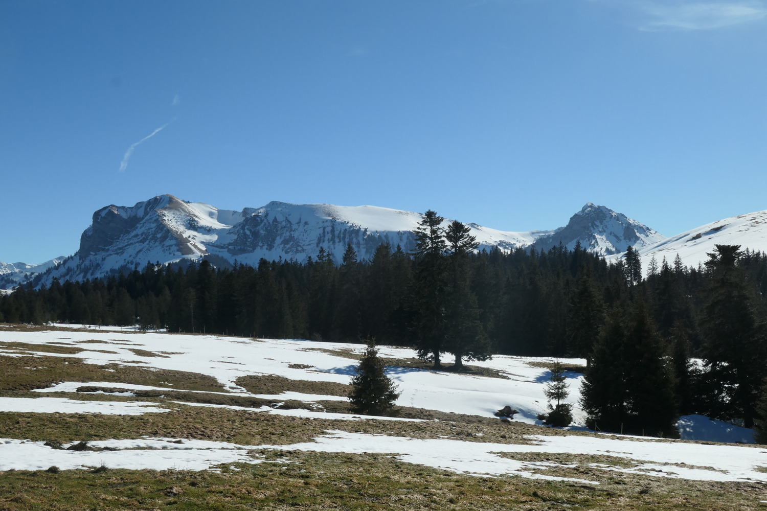 p1002419.jpg