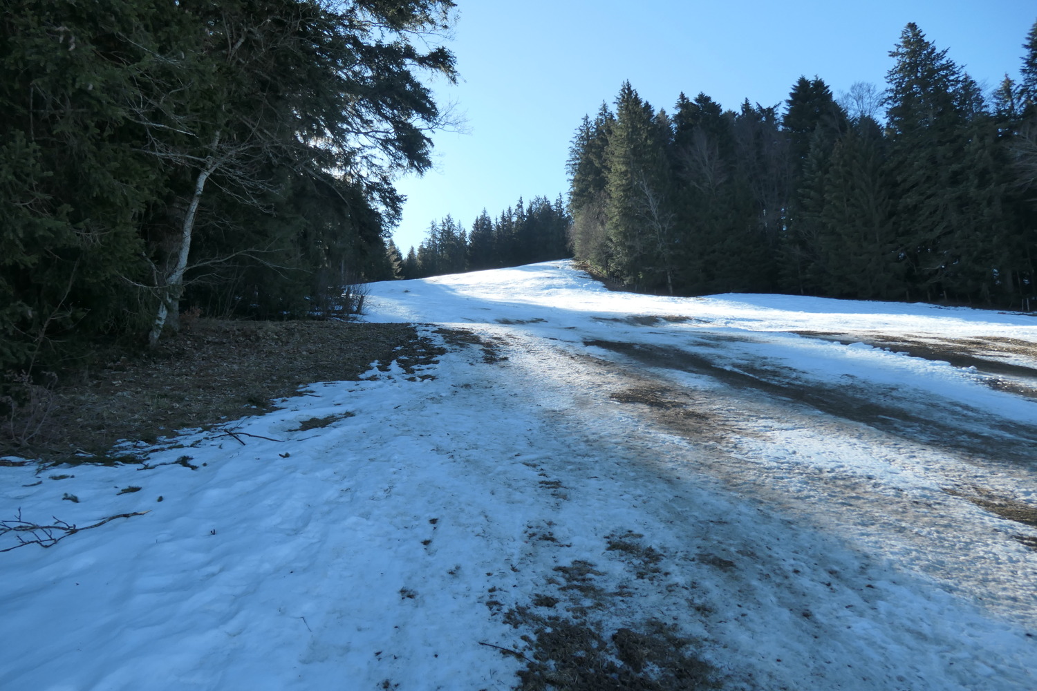 p1002438.jpg