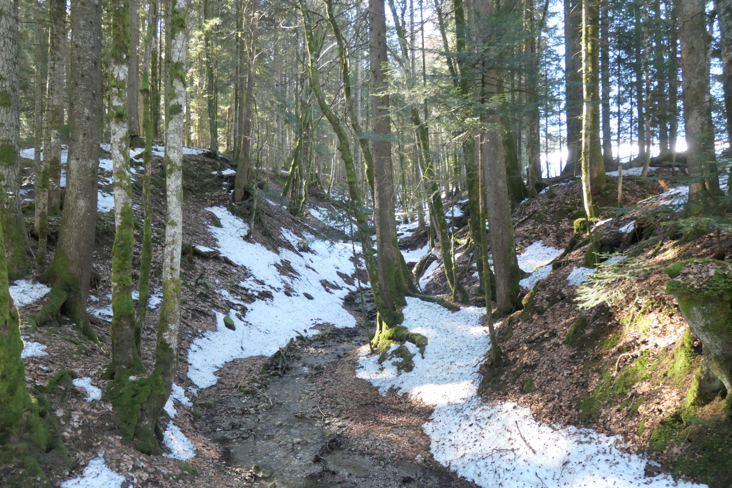 p1002445.jpg