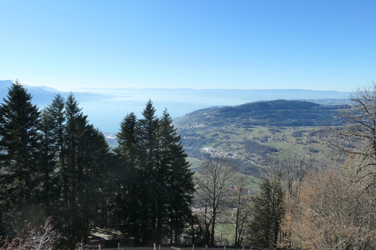 p1002448.jpg
