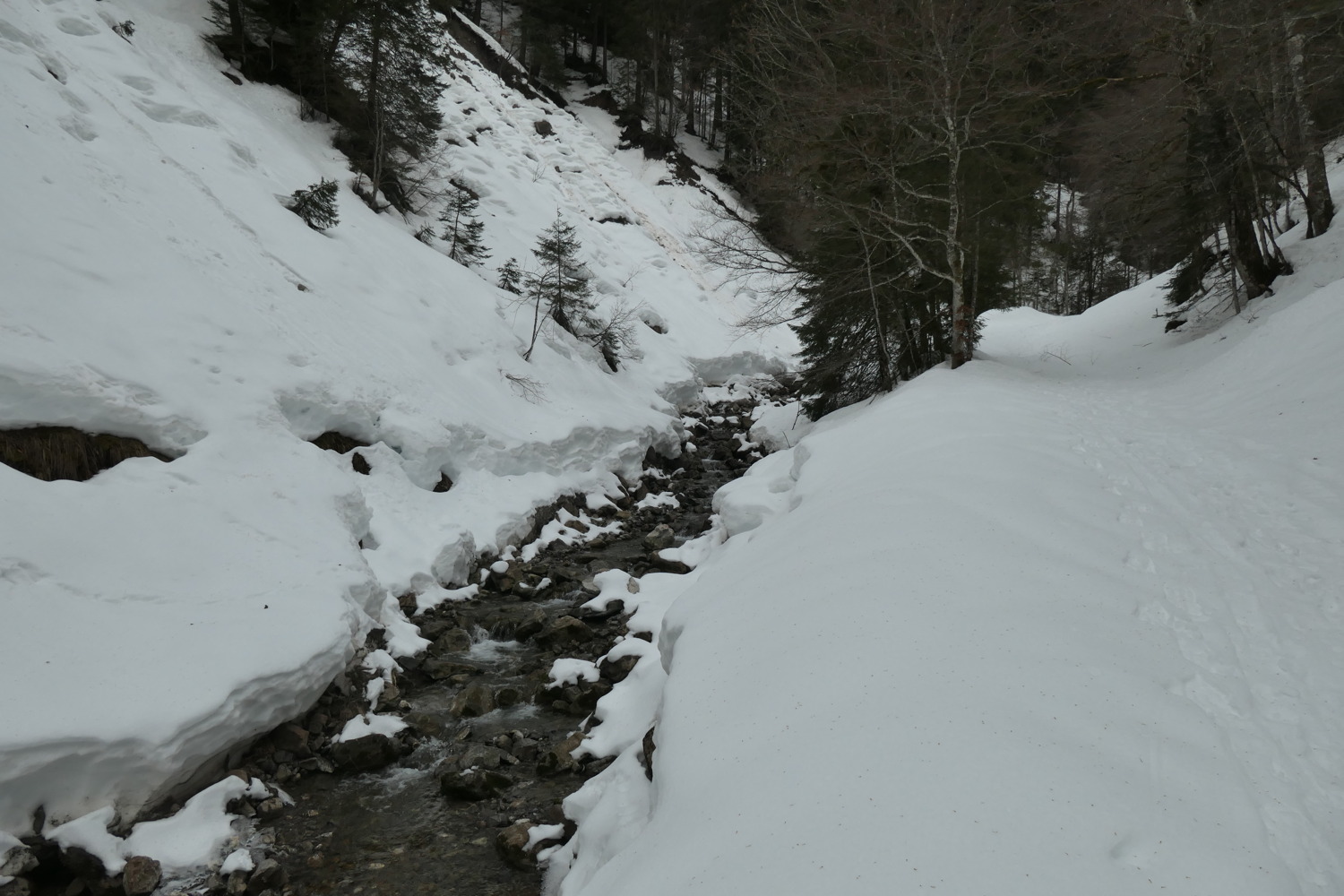 p1002463.jpg