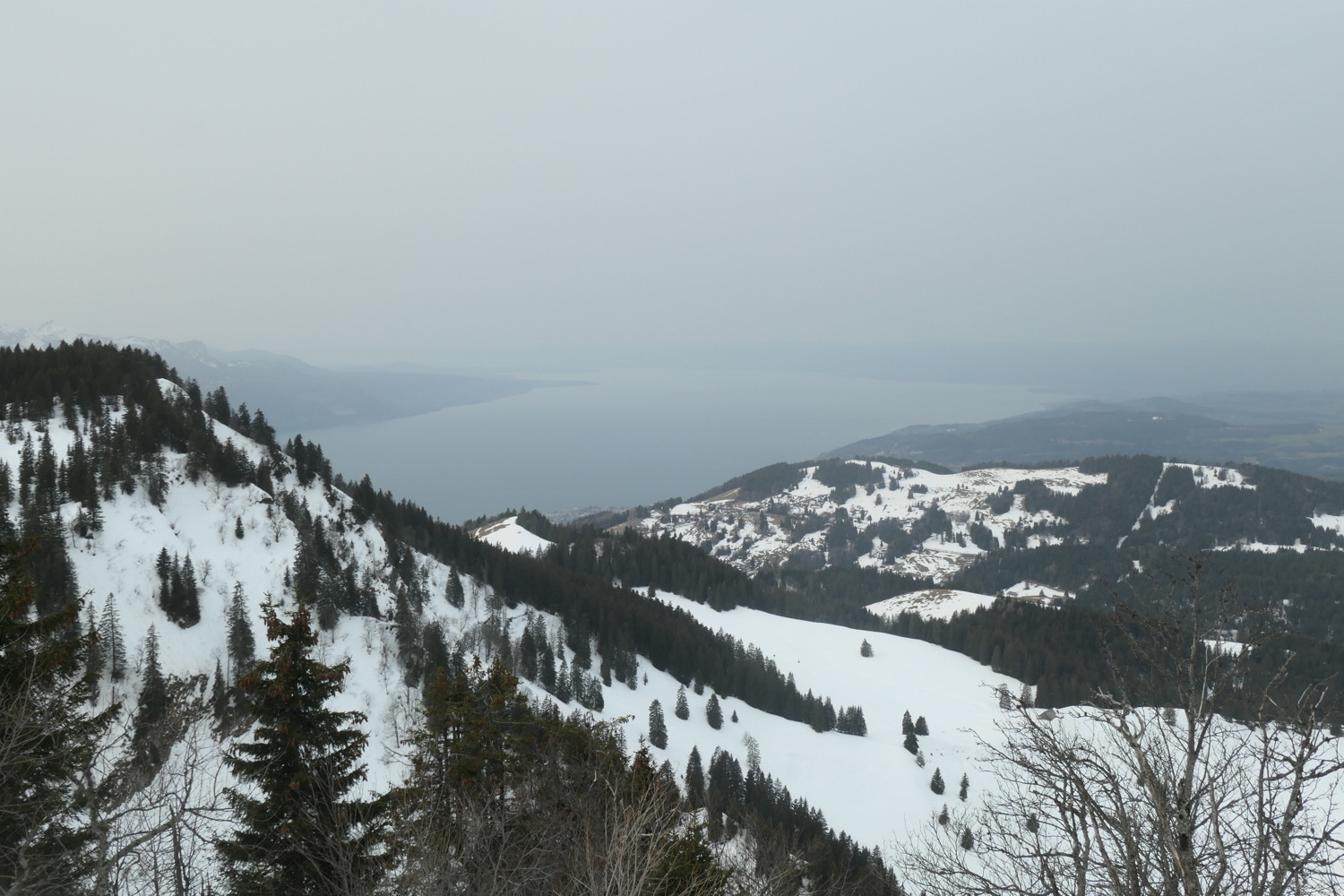 p1002469.jpg