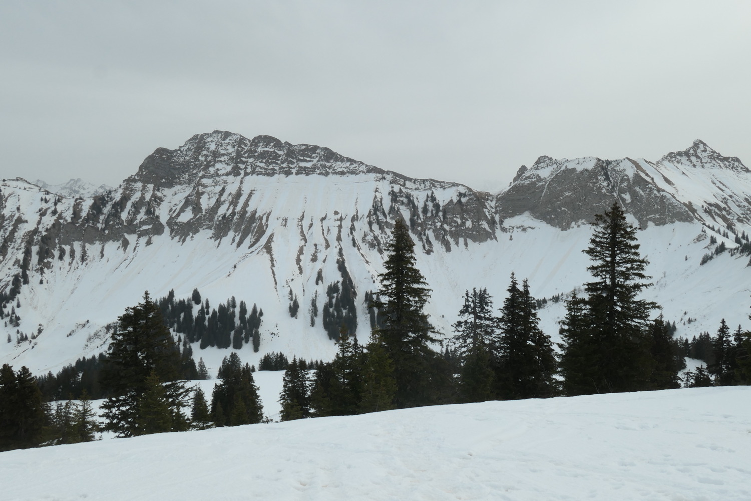 p1002471.jpg