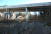 p1002436.jpg