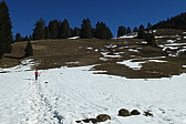 p1002440.jpg