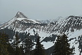 p1002468.jpg