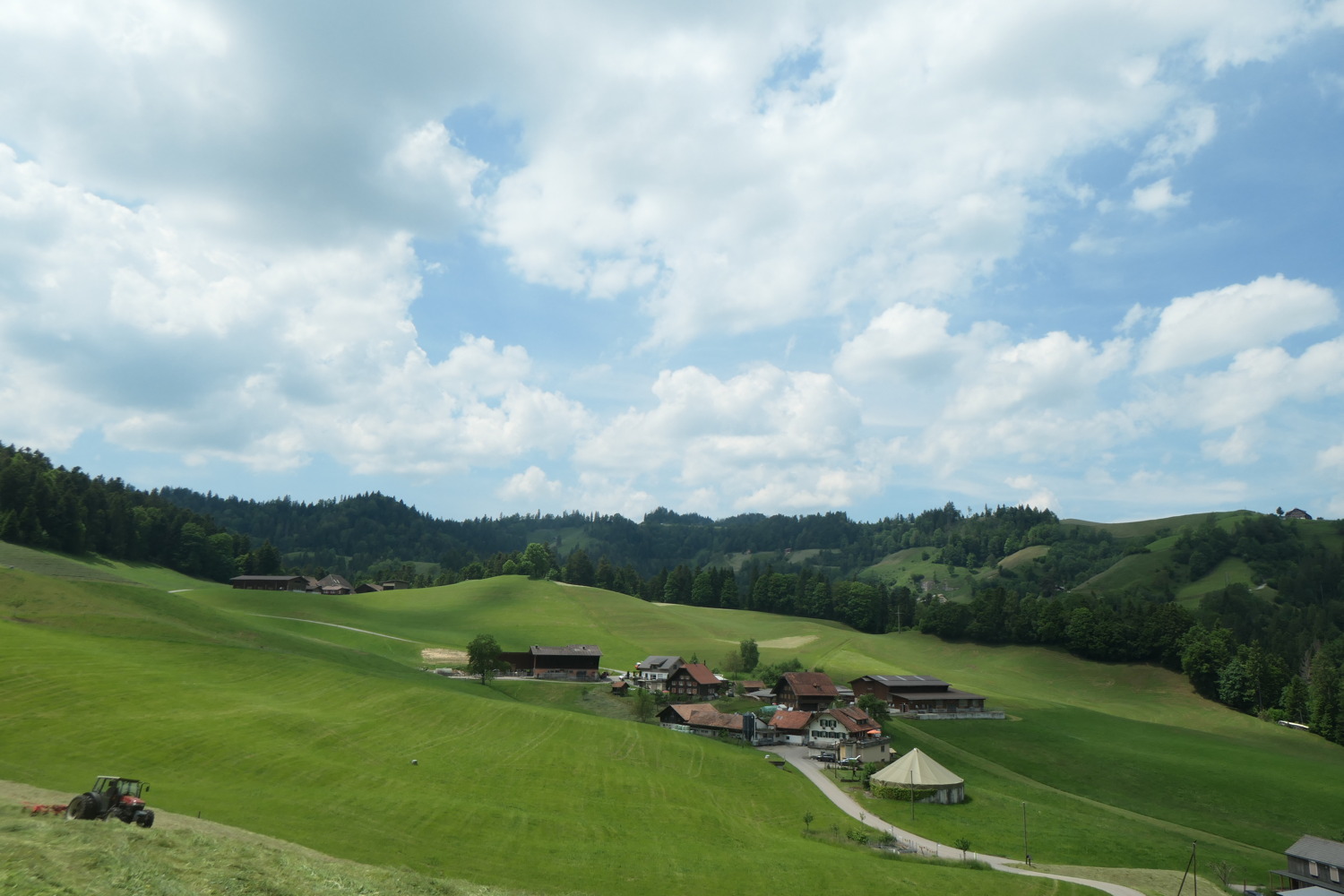 p1003455.jpg