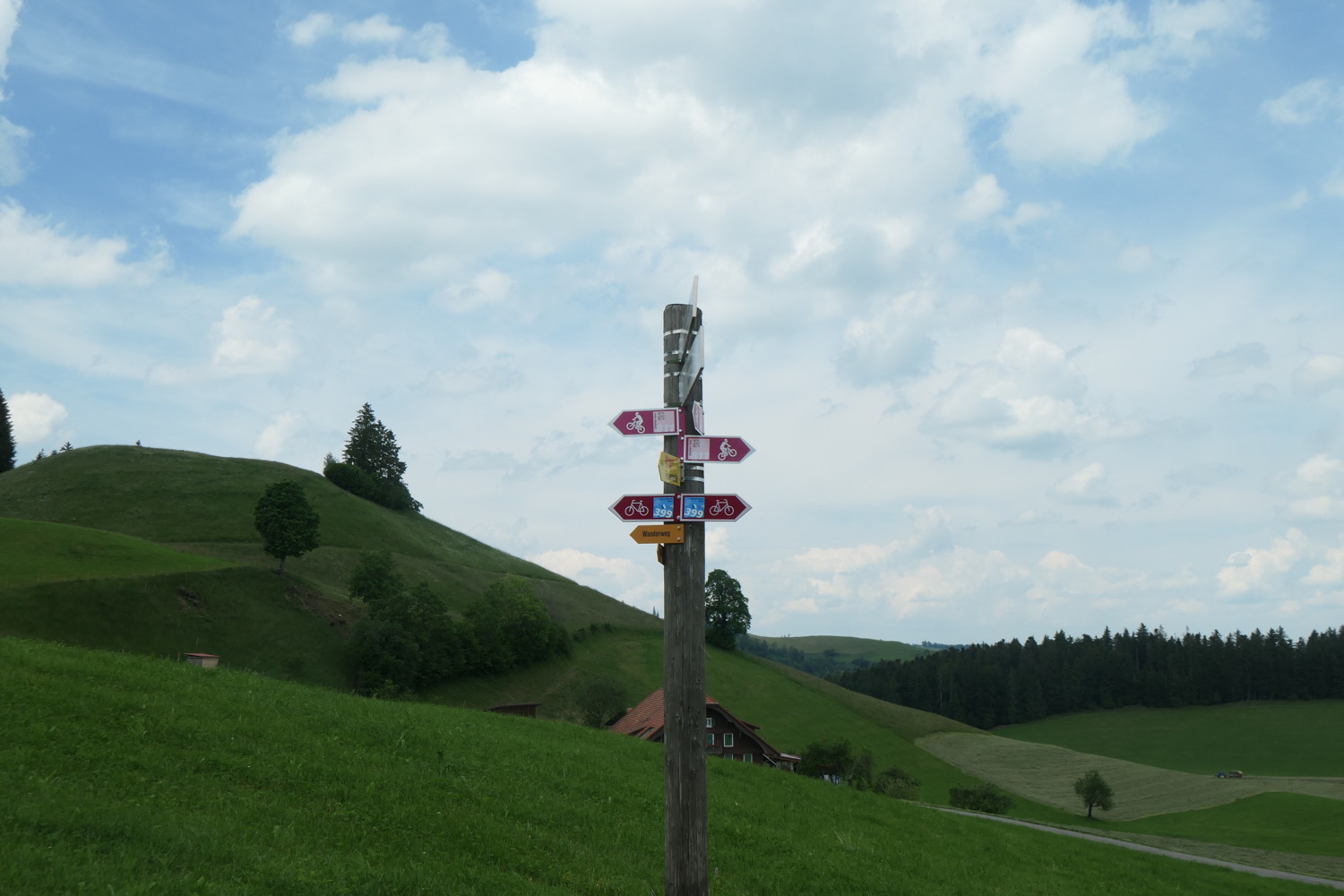 p1003456.jpg