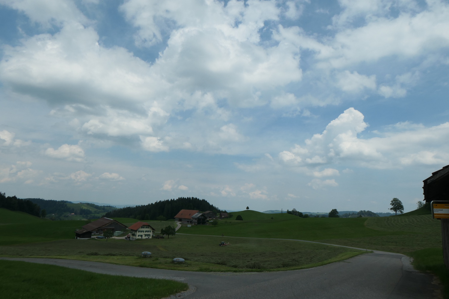 p1003457.jpg