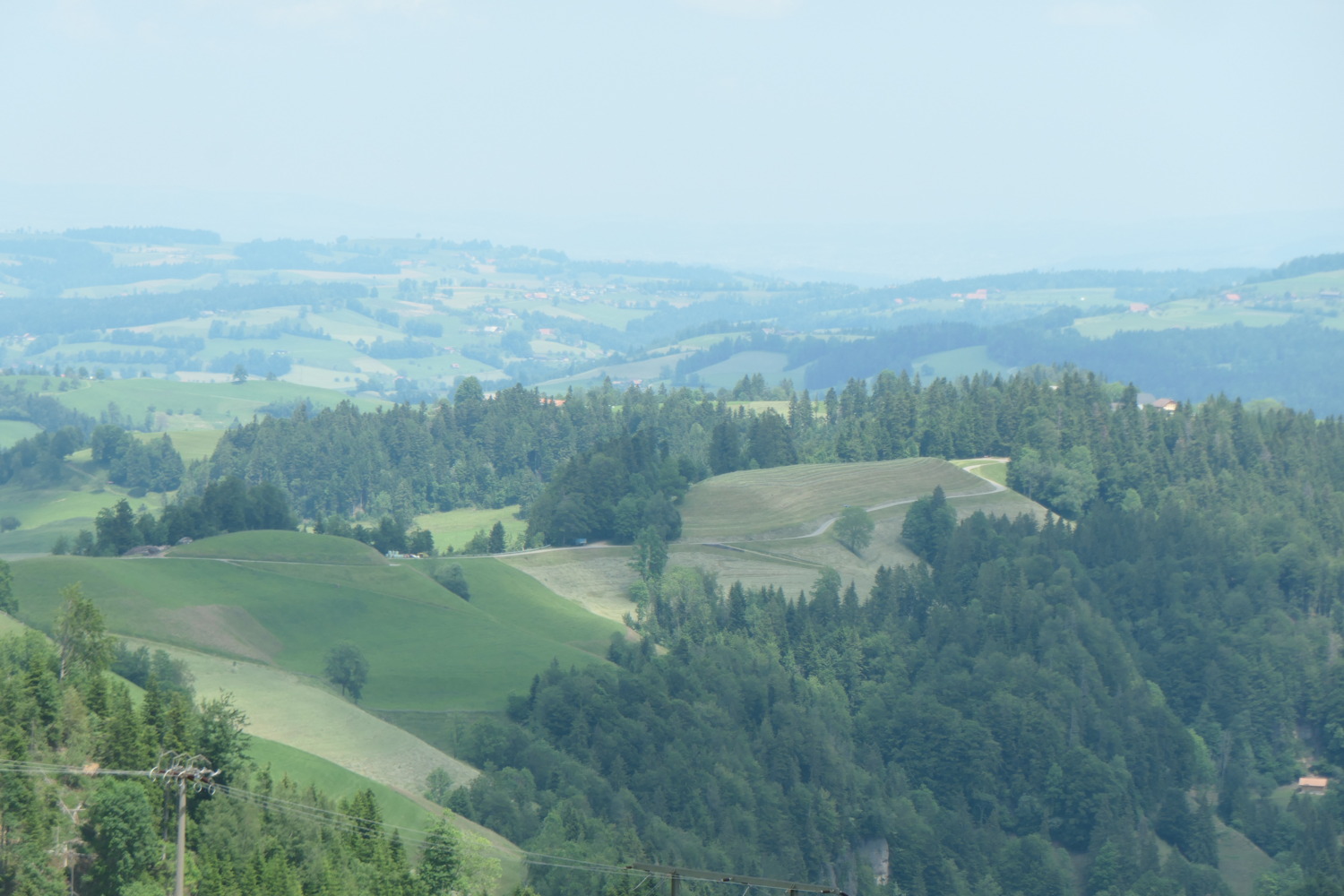p1003459.jpg