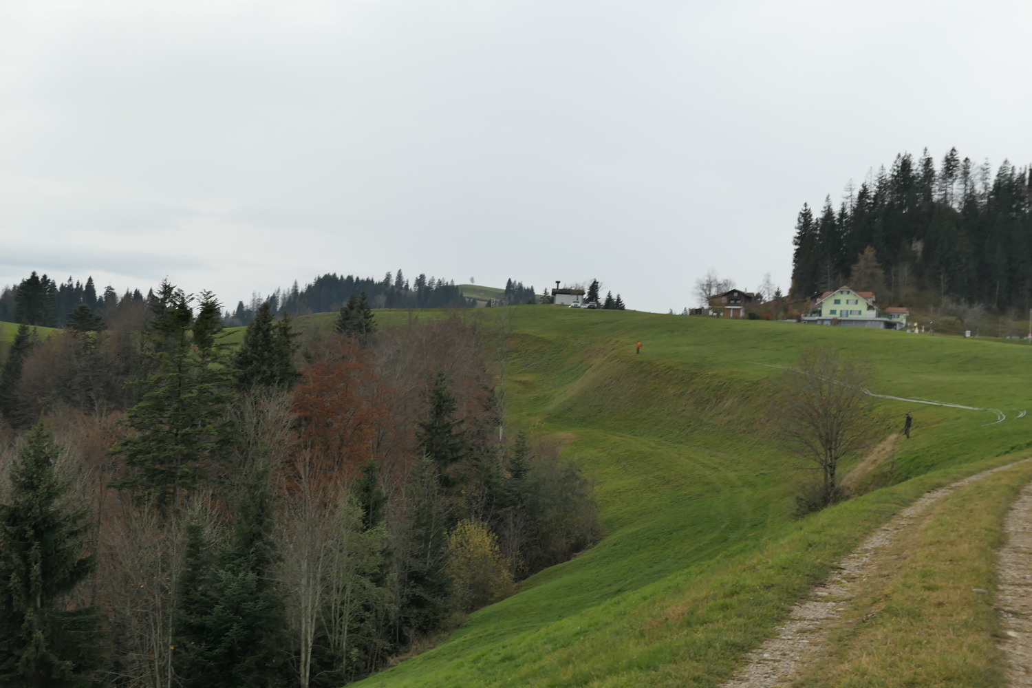 p1010879.jpg