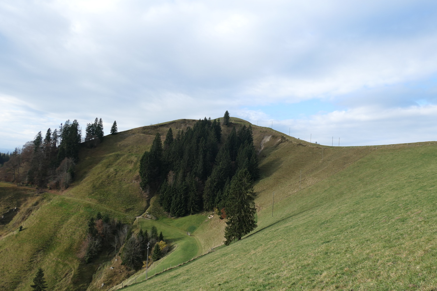 p1010883.jpg
