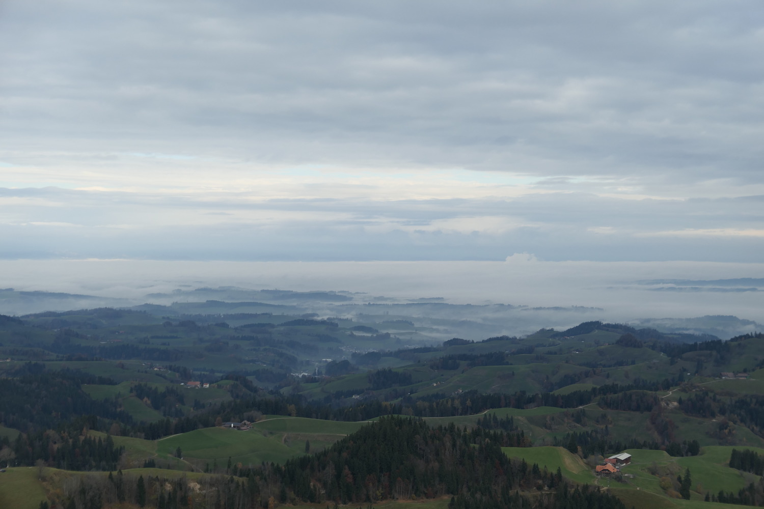 p1010885.jpg