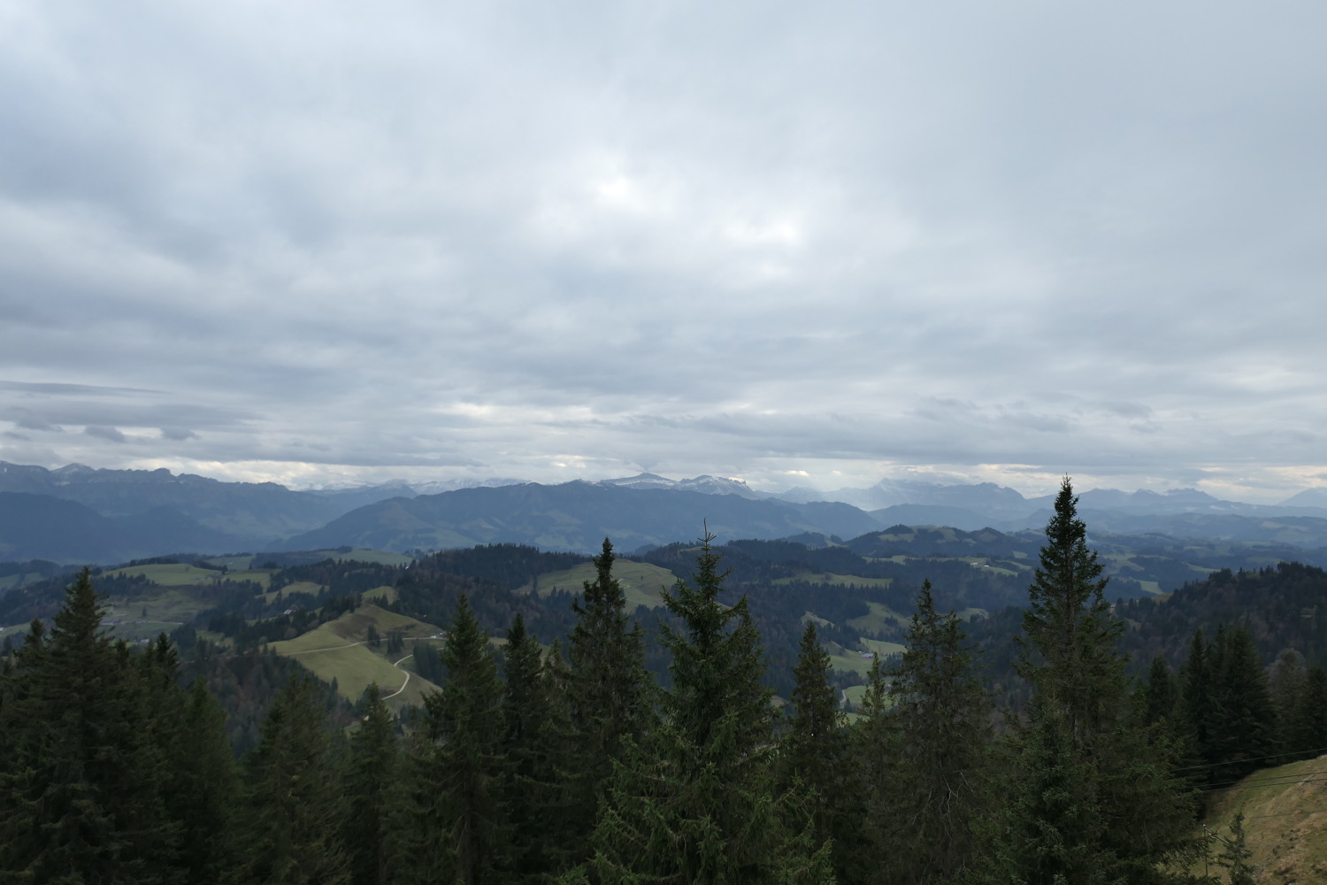 p1010888.jpg
