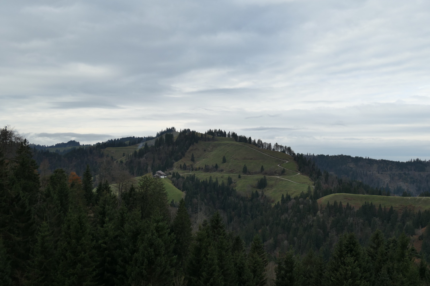 p1010891.jpg