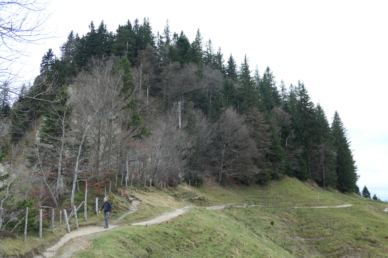 p1010892.jpg