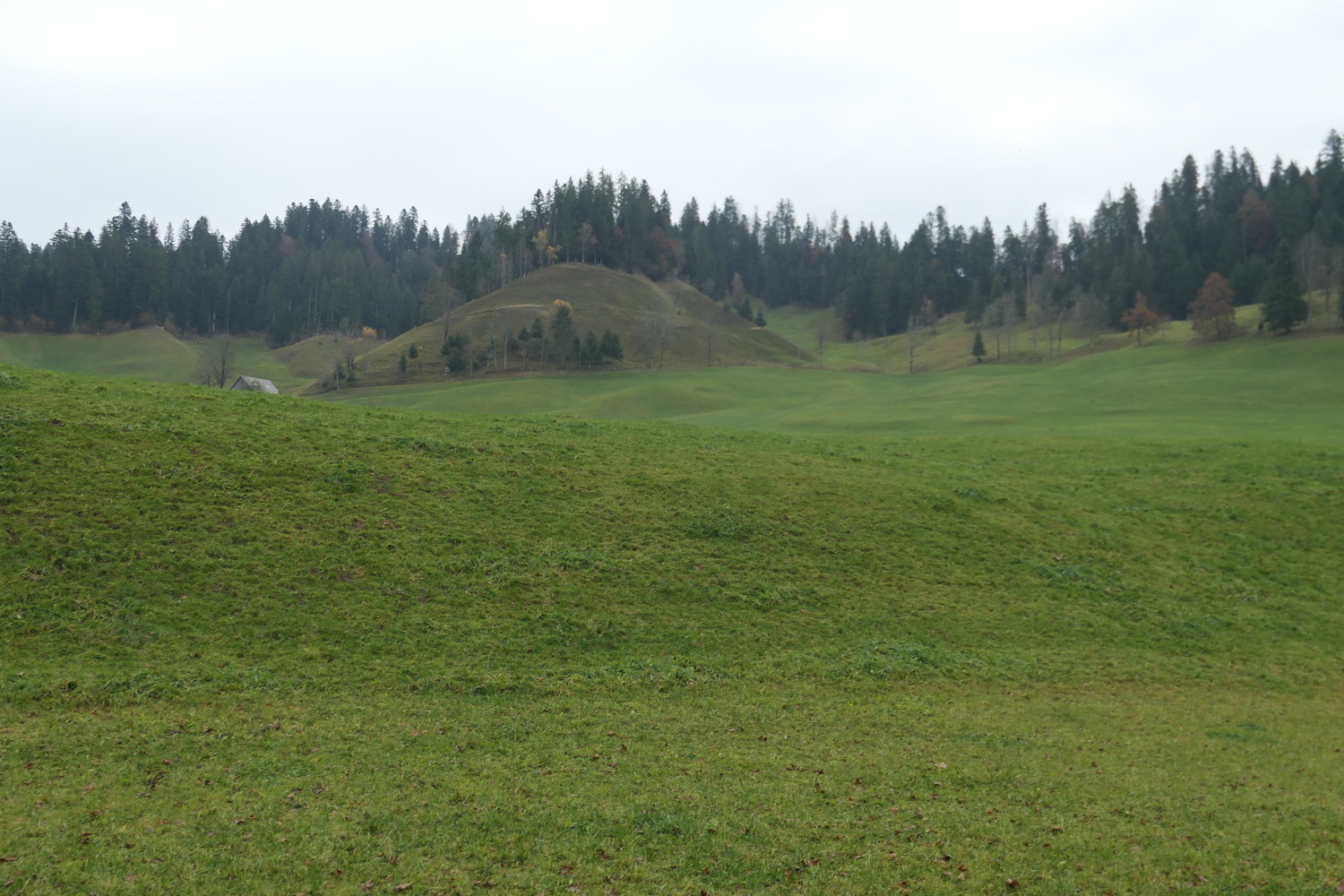 p1010899.jpg