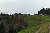 p1010879.jpg