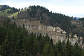 p1010887.jpg