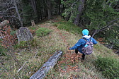 p1010896.jpg