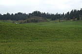p1010899.jpg