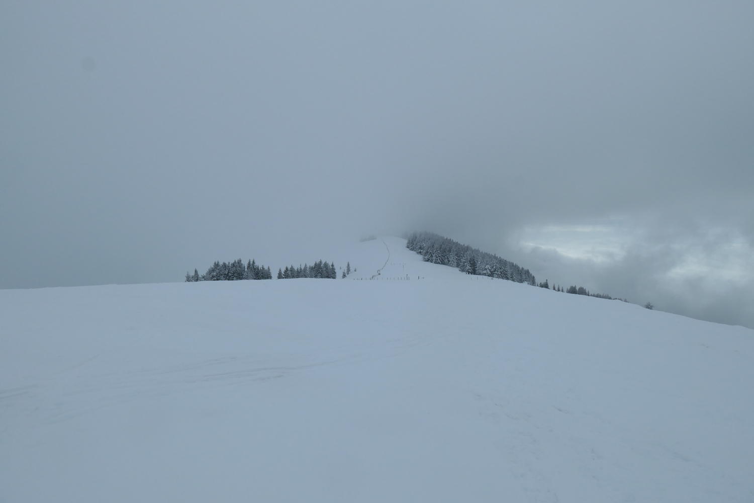 p1002205.jpg