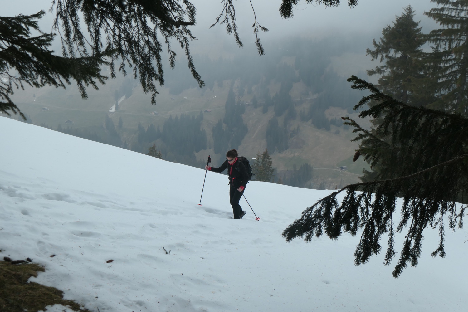 p1002744.jpg