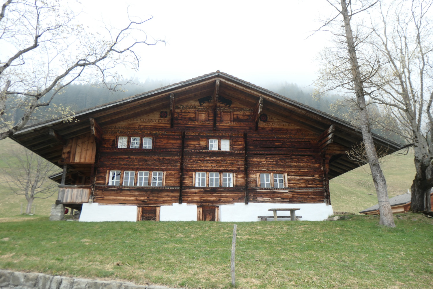 p1002751.jpg