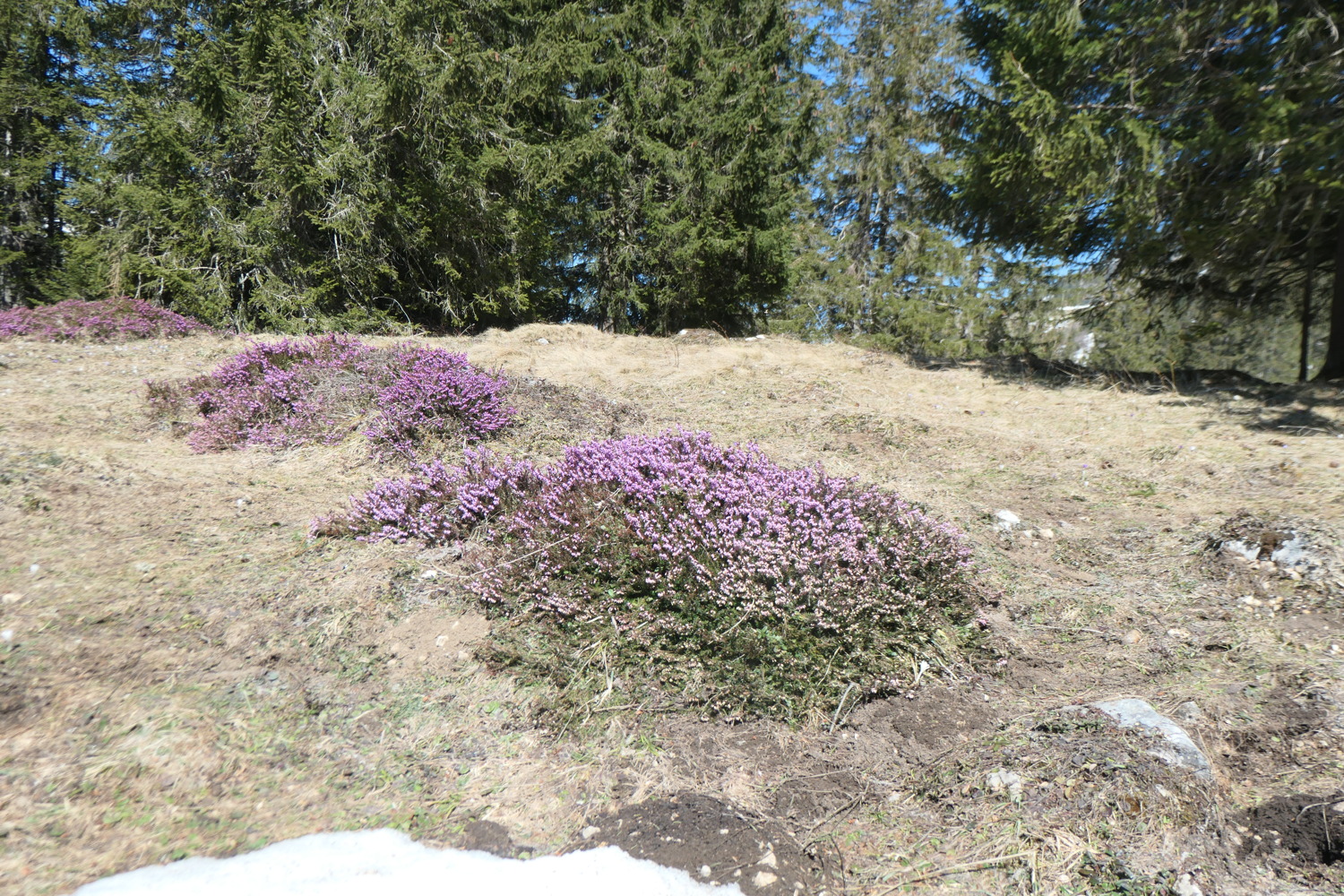 p1002771.jpg