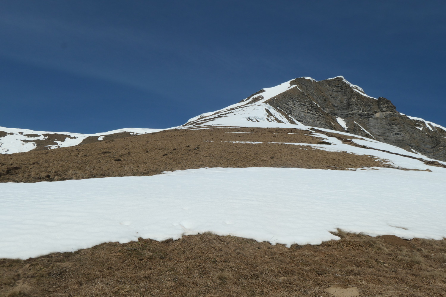 p1002775.jpg