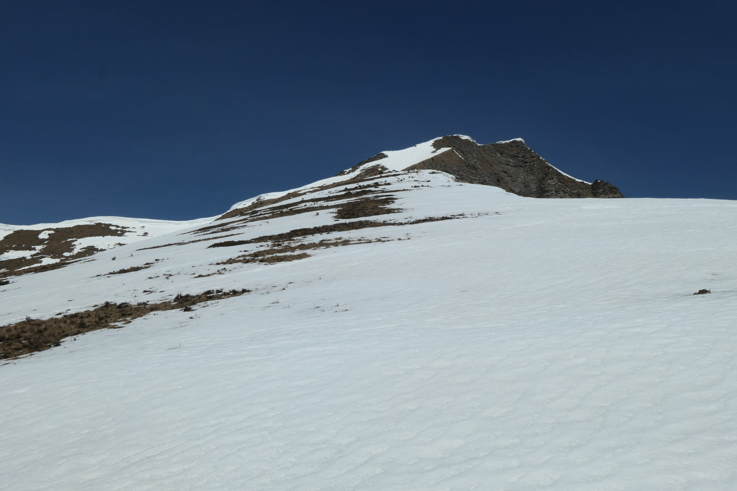 p1002776.jpg