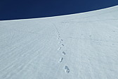 p1002766.jpg