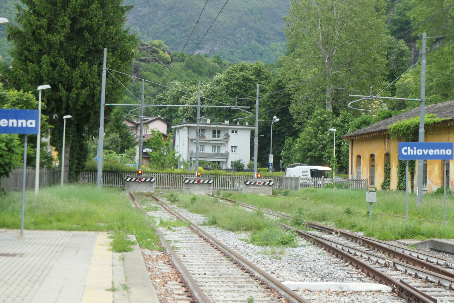 p1003137.jpg