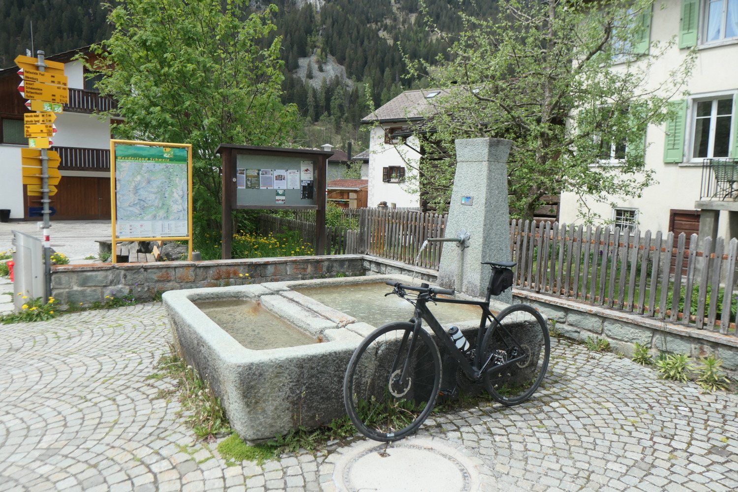 p1003154.jpg