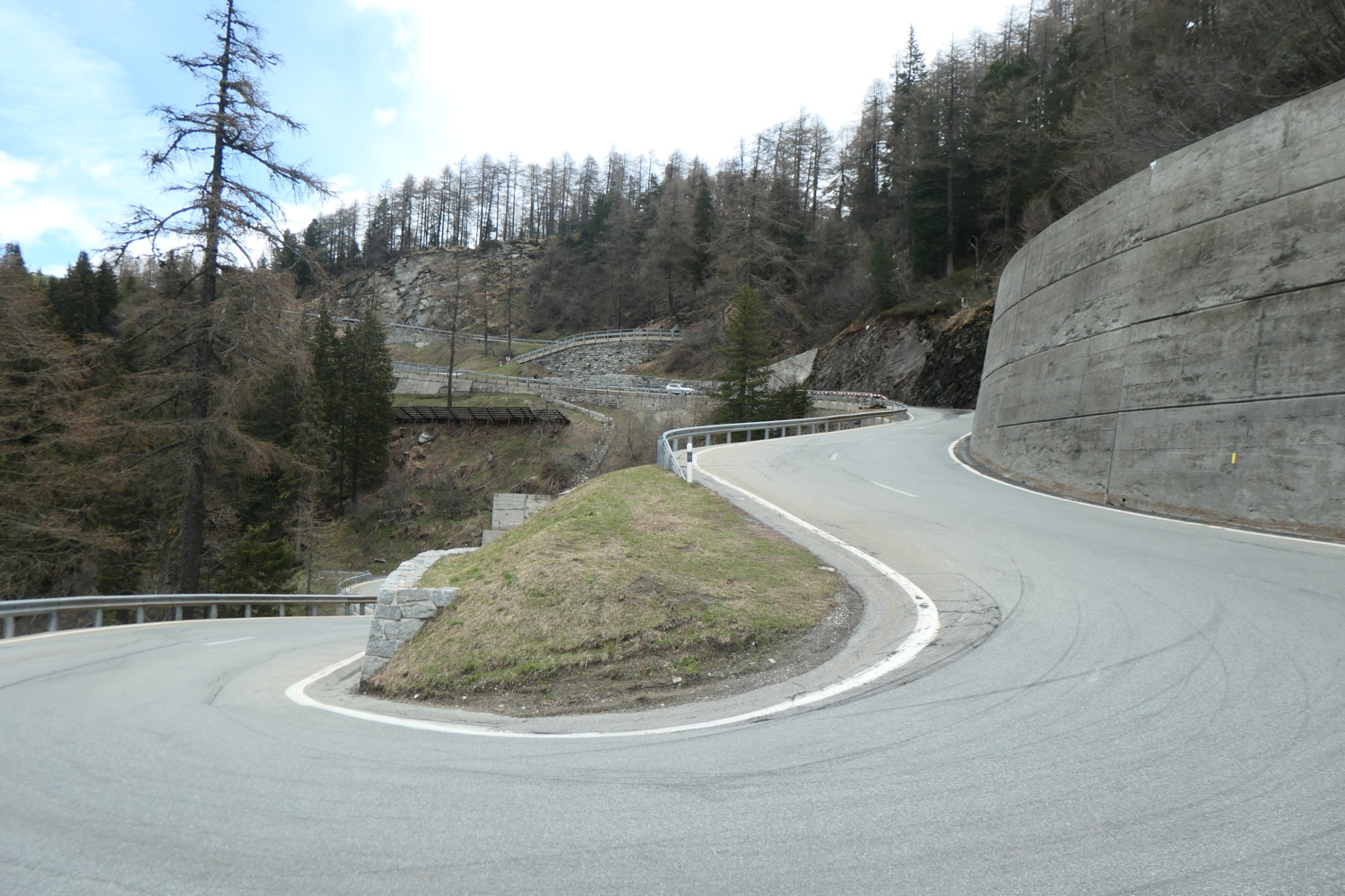 p1003160.jpg