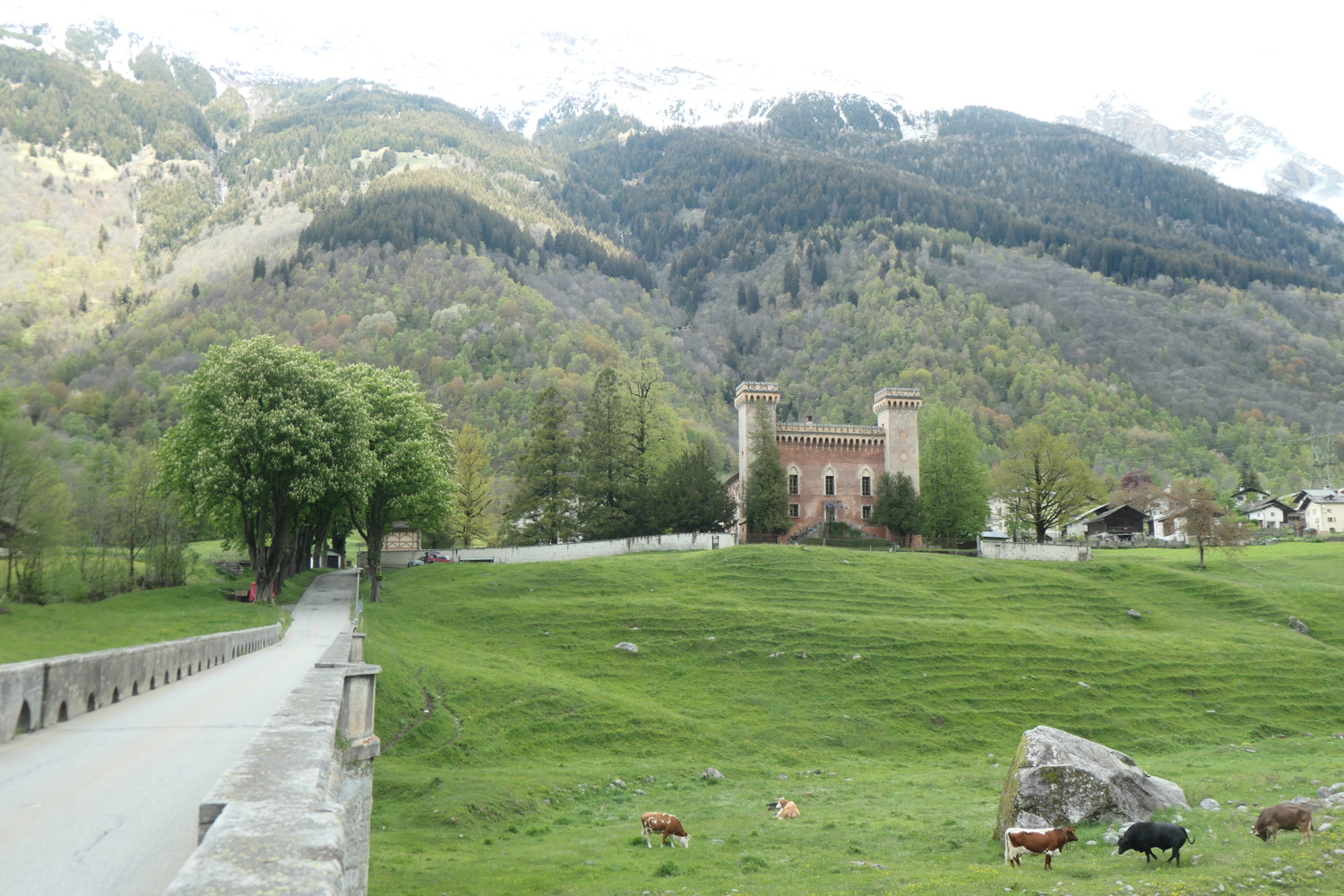 p1003164.jpg