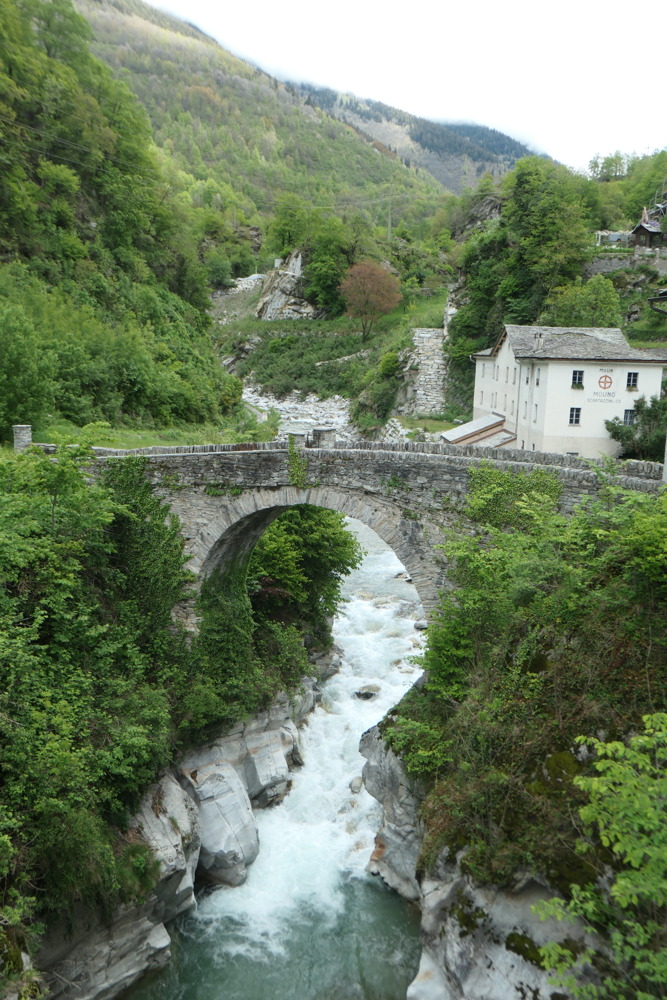 p1003168.jpg