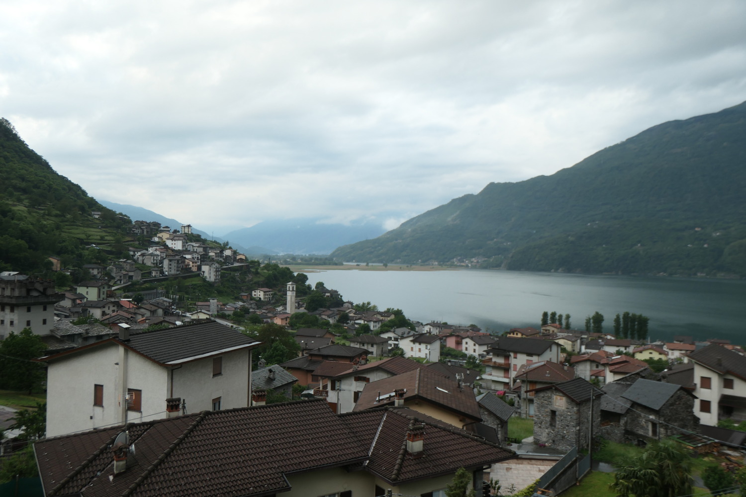 p1003174.jpg
