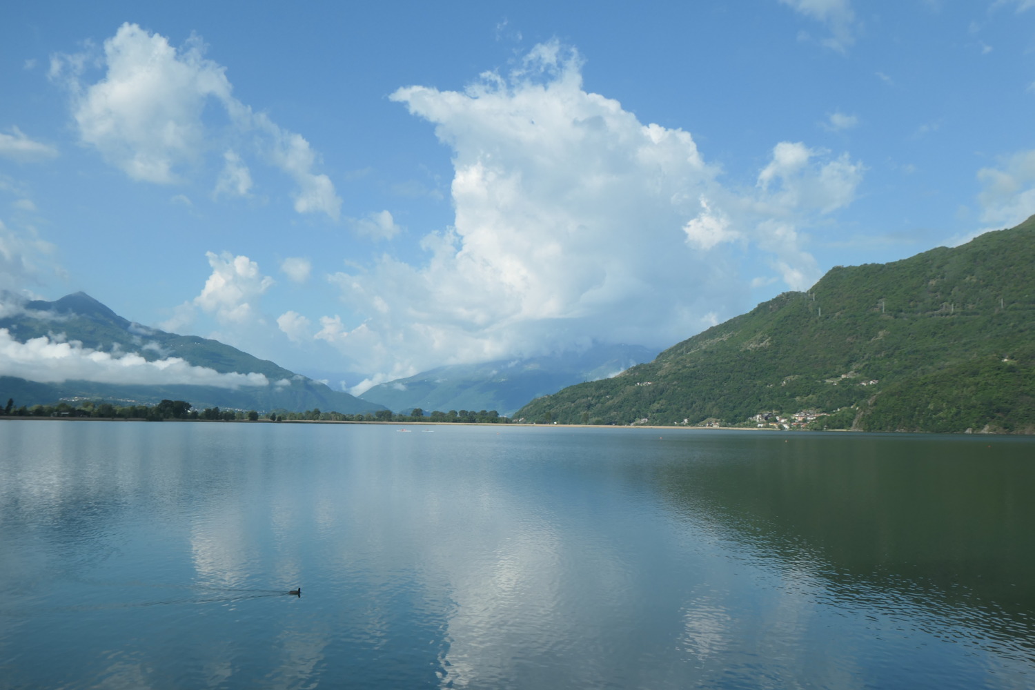 p1003175.jpg