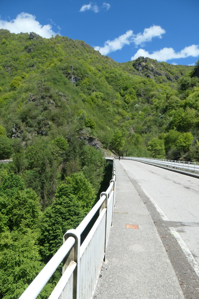 p1003179.jpg