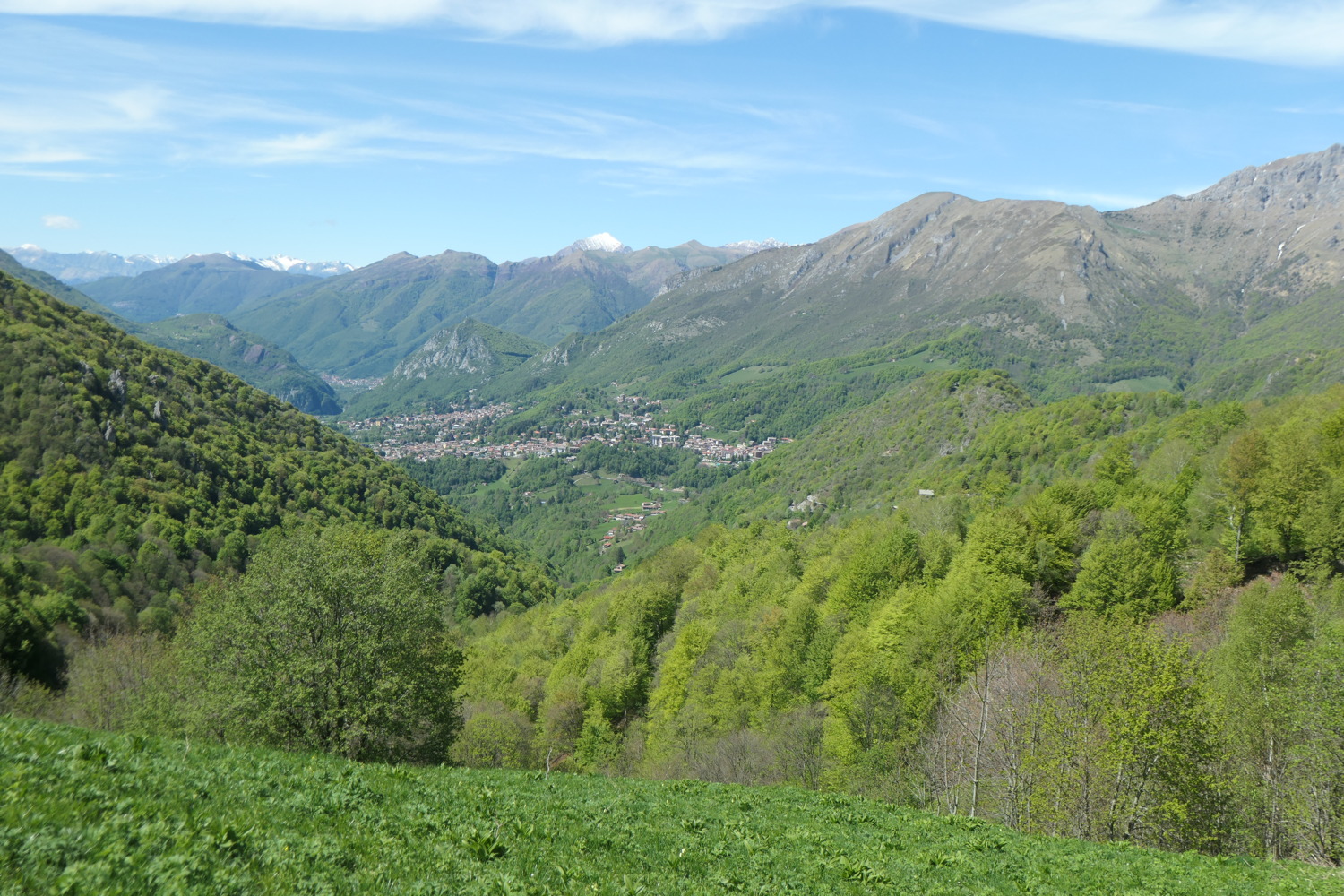p1003183.jpg