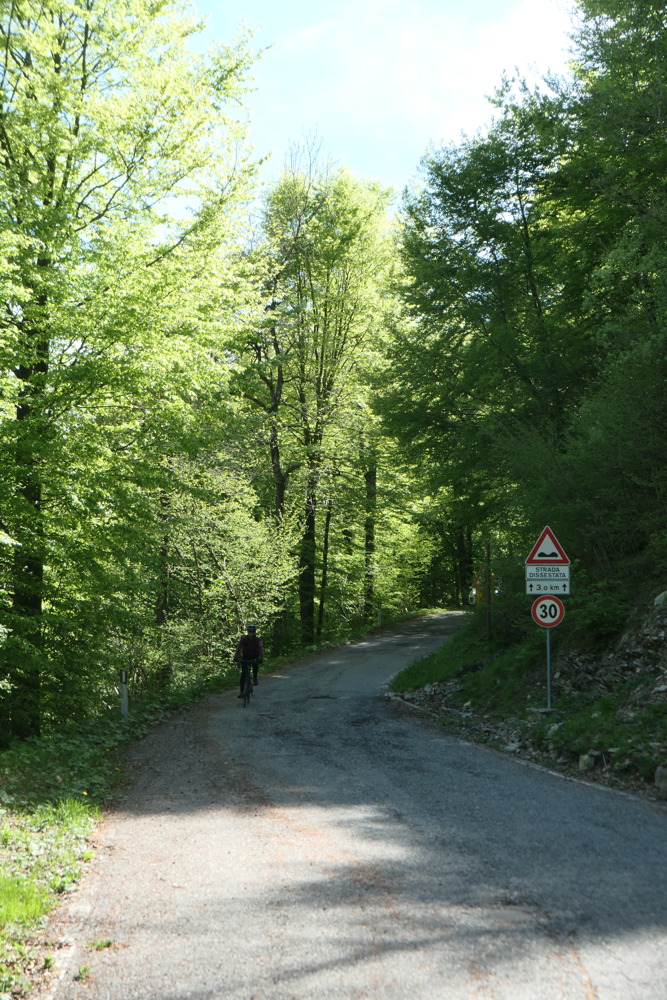 p1003186.jpg