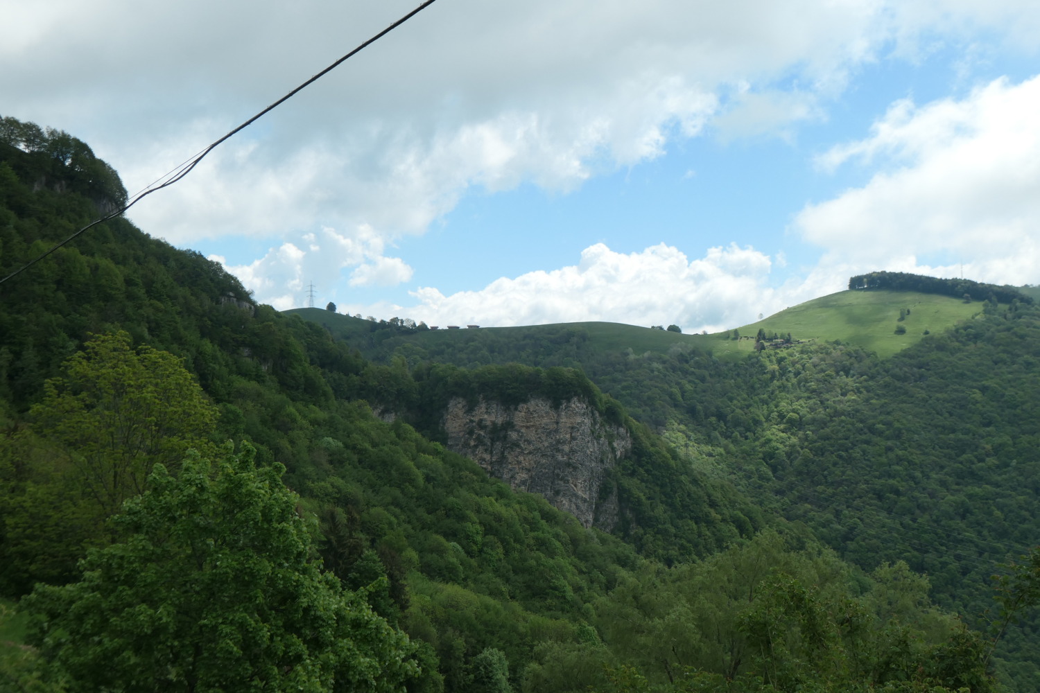p1003231.jpg