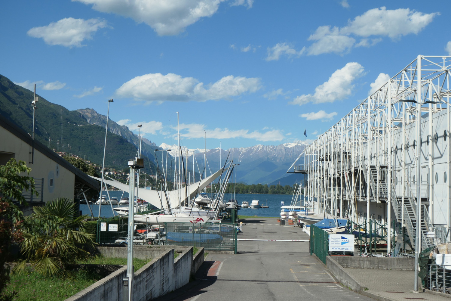 p1003239.jpg