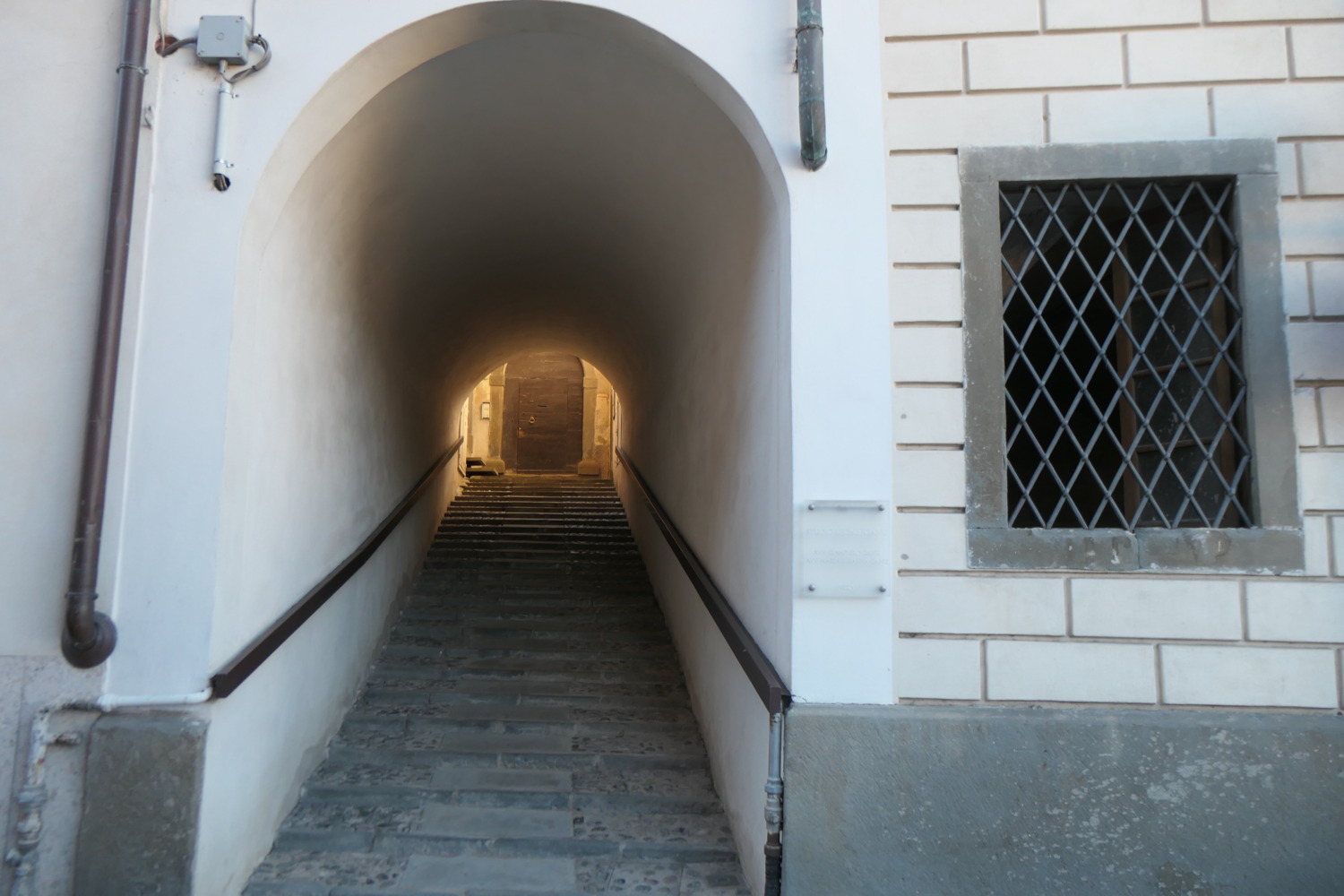 p1003243.jpg
