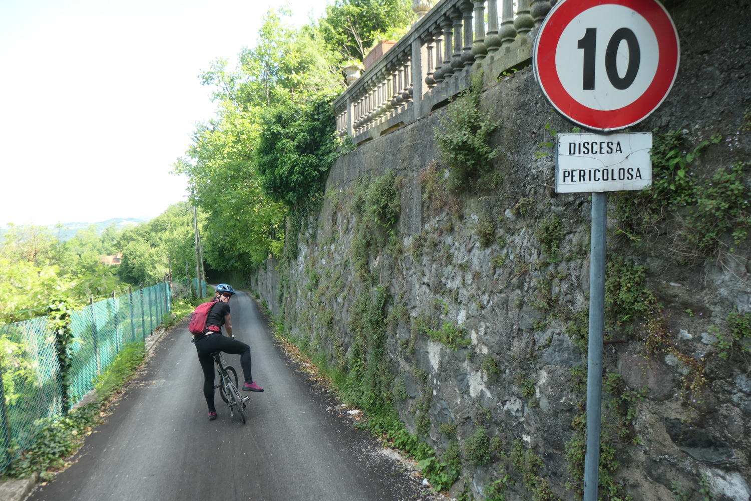 p1003266.jpg