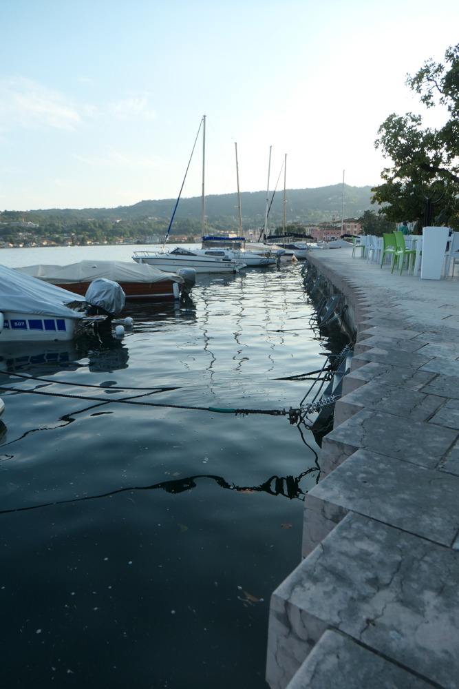 p1003270.jpg