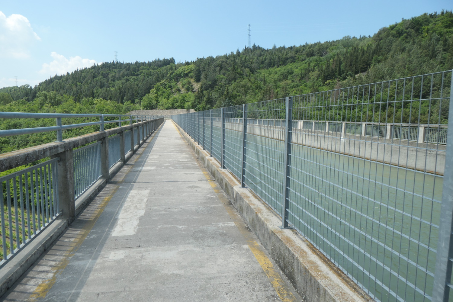 p1003290.jpg